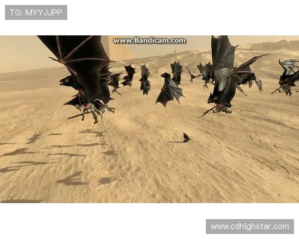 飓风队与自由队对决分析及胜负推荐策略分享