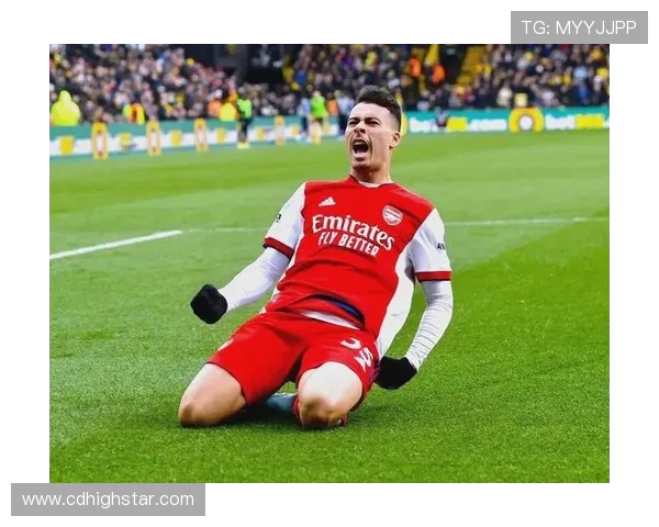 马丁内利的崛起之路：从青涩小将到足坛新星的成长历程