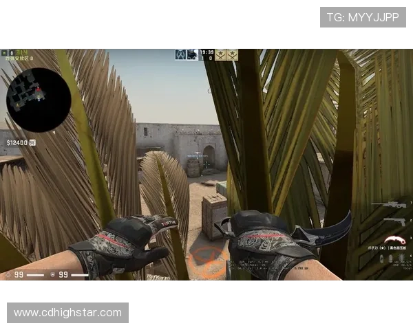 FPX在CSGO比赛中的区域防守策略分析与效果评估