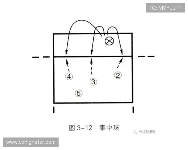 上海排球队战术表现深度分析与数据解读探讨